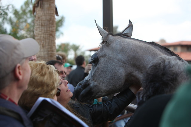 2012-2013 Farm Tours
