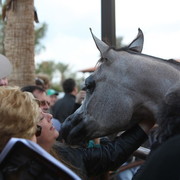 2012-2013 Farm Tours
