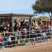 2012-2013 Farm Tours