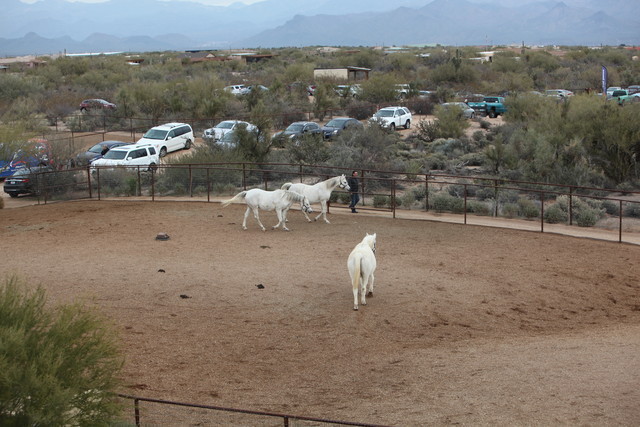 2012-2013 Farm Tours