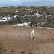 2012-2013 Farm Tours