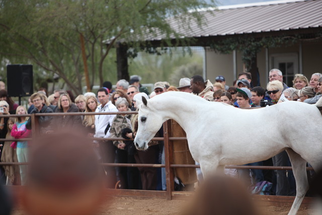2012-2013 Farm Tours