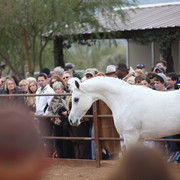 2012-2013 Farm Tours