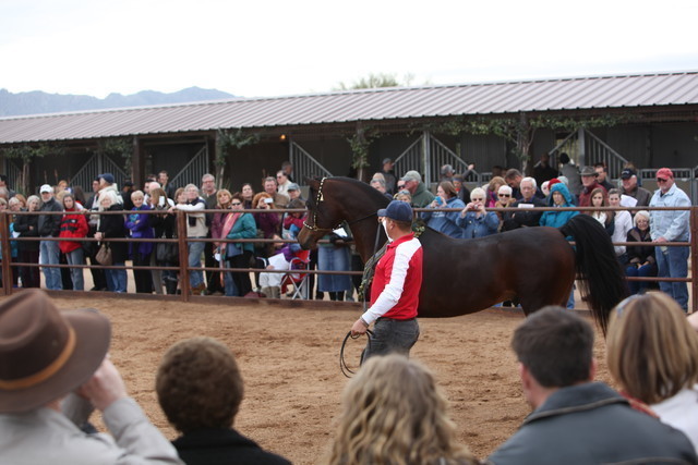 2012-2013 Farm Tours