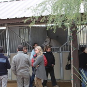 2012-2013 Farm Tours