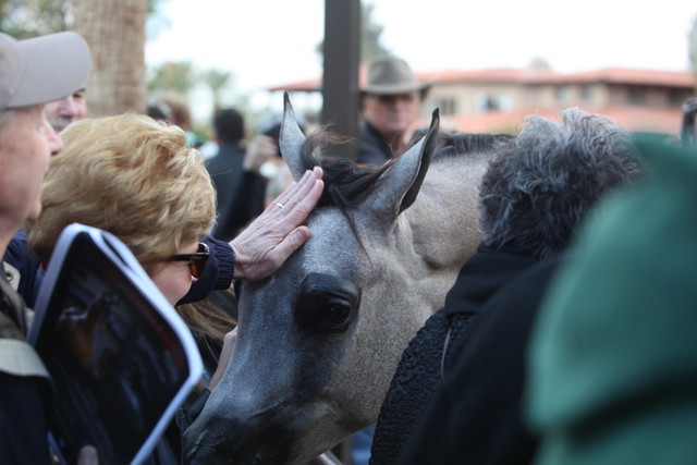 2012-2013 Farm Tours