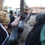 2012-2013 Farm Tours