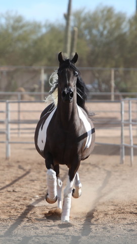 2012-2013 Farm Tours