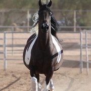 2012-2013 Farm Tours