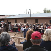 2012-2013 Farm Tours