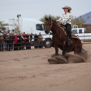2012-2013 Farm Tours