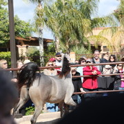 2012-2013 Farm Tours