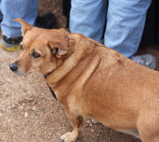 2012-2013 Farm Tours