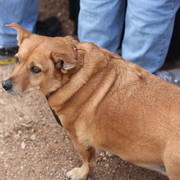 2012-2013 Farm Tours