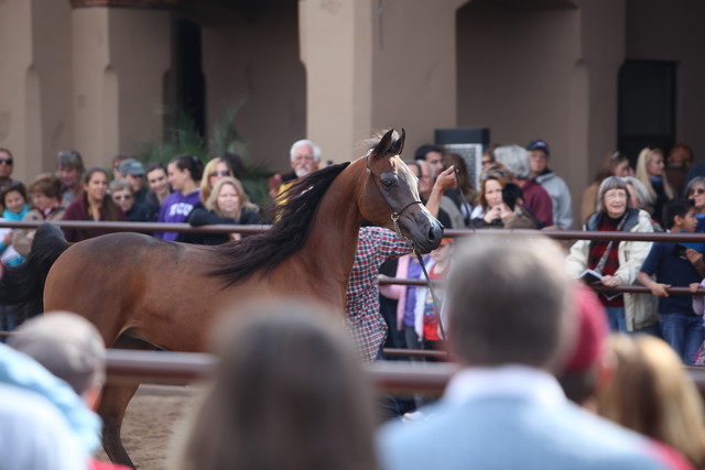2012-2013 Farm Tours