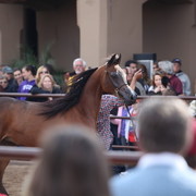 2012-2013 Farm Tours