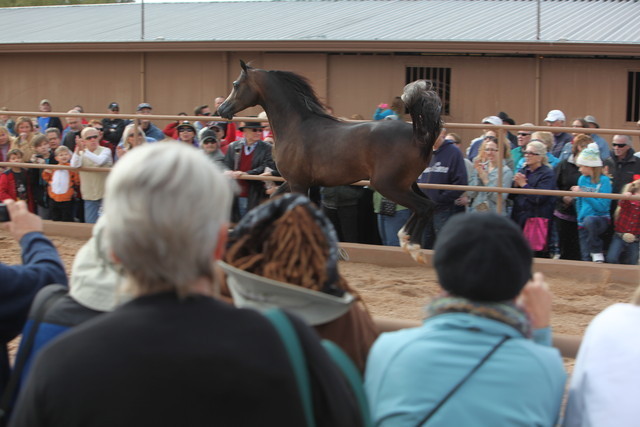 2012-2013 Farm Tours