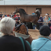 2012-2013 Farm Tours
