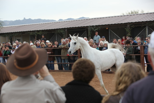 2012-2013 Farm Tours