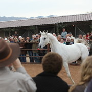 2012-2013 Farm Tours