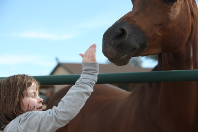 2012-2013 Farm Tours