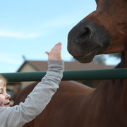 2012-2013 Farm Tours