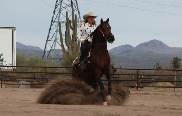 2012-2013 Farm Tours