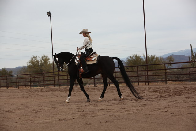 2012-2013 Farm Tours