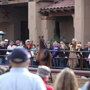 2012-2013 Farm Tours