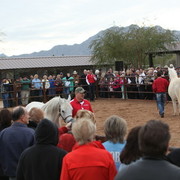2012-2013 Farm Tours