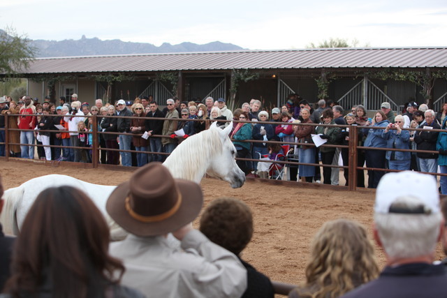 2012-2013 Farm Tours
