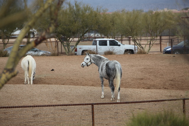 2012-2013 Farm Tours
