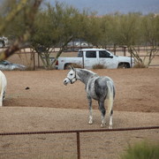 2012-2013 Farm Tours