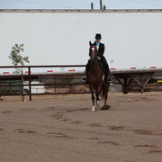 2012-2013 Farm Tours