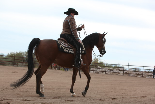 2012-2013 Farm Tours