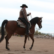 2012-2013 Farm Tours