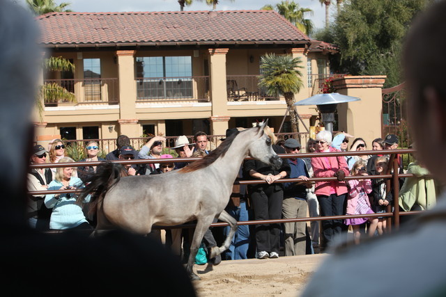 2012-2013 Farm Tours