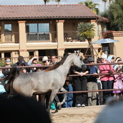 2012-2013 Farm Tours