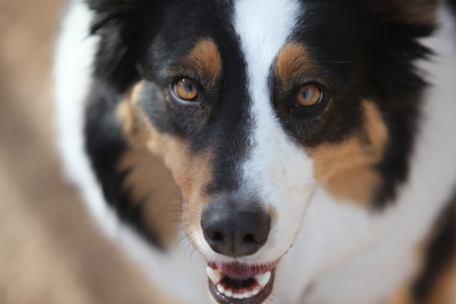 2012-2013 Farm Tours