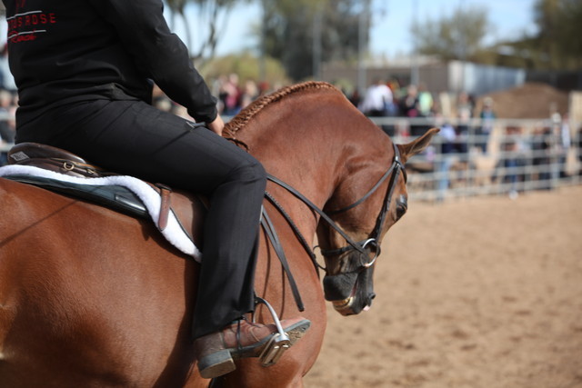 2012-2013 Farm Tours