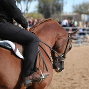 2012-2013 Farm Tours
