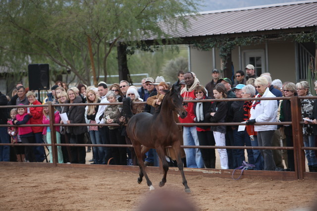 2012-2013 Farm Tours