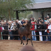 2012-2013 Farm Tours