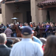 2012-2013 Farm Tours