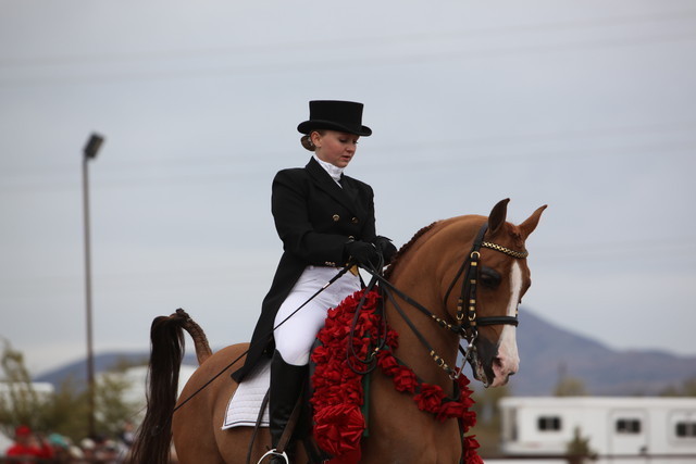 2012-2013 Farm Tours