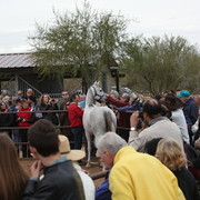 2012-2013 Farm Tours