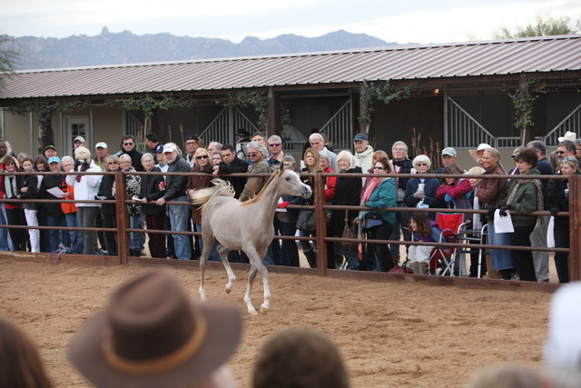 2012-2013 Farm Tours