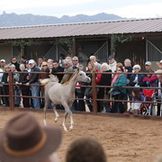 2012-2013 Farm Tours