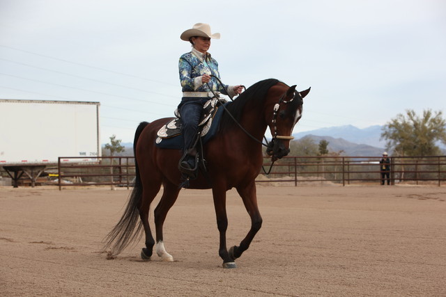 2012-2013 Farm Tours