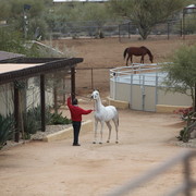 2012-2013 Farm Tours